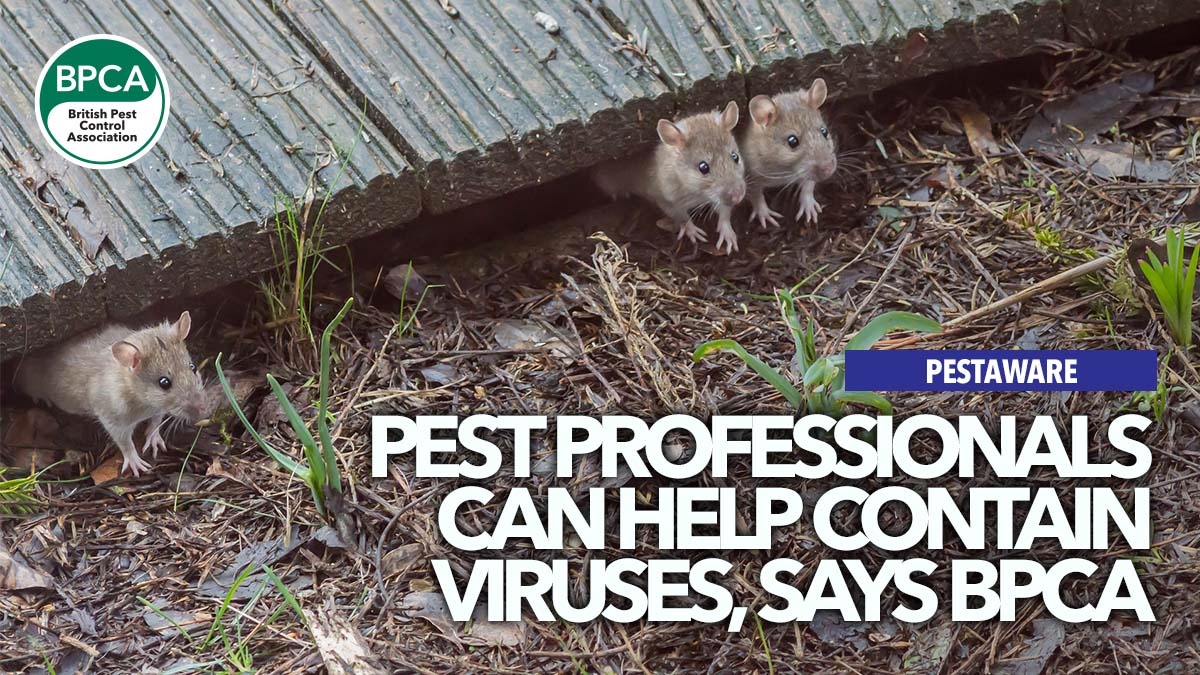 pestprofessionalshelpstopvirusesbpcacovid pestprofessionalshelpstopvirusesbpcacovid